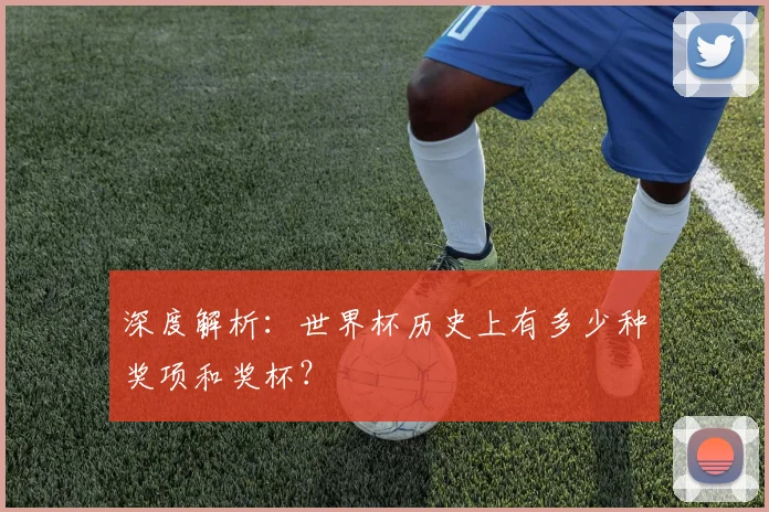 深度解析：世界杯历史上有多少种奖项和奖杯？
